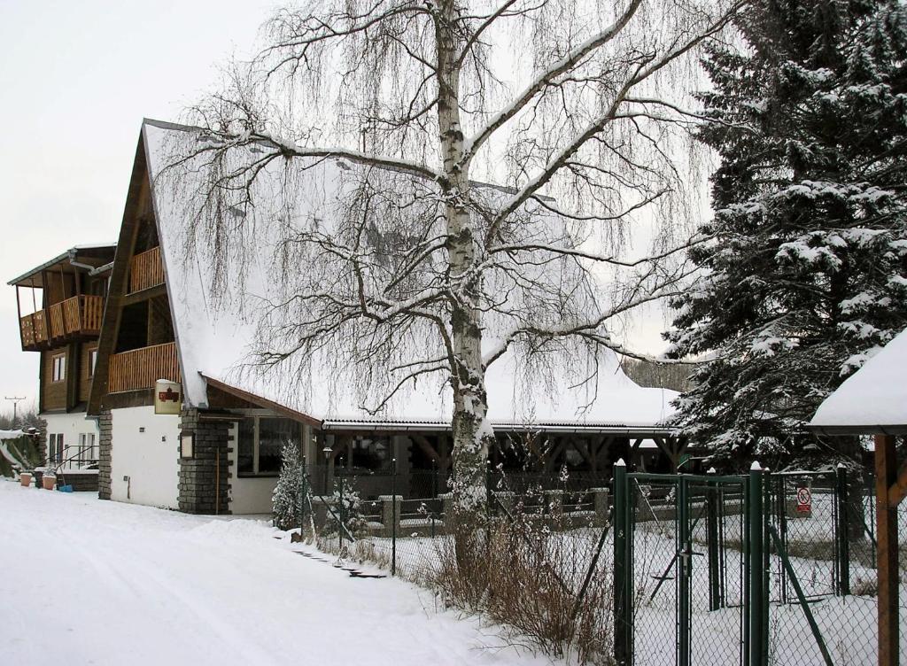 Koliba Belveder Hotel Horní Planá Buitenkant foto