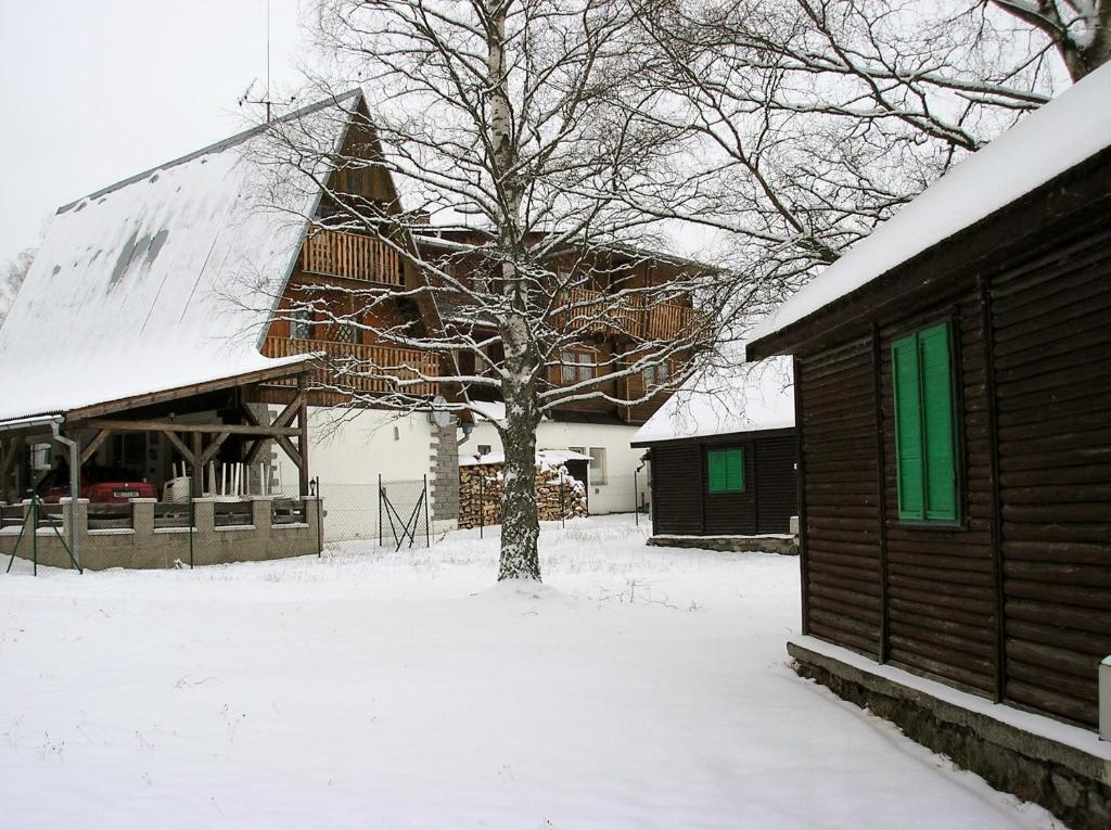 Koliba Belveder Hotel Horní Planá Buitenkant foto